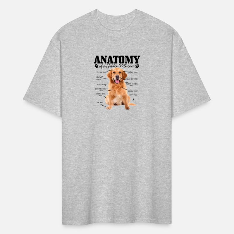 Anatomy Of A Golden Retriever Dog Mom Dad