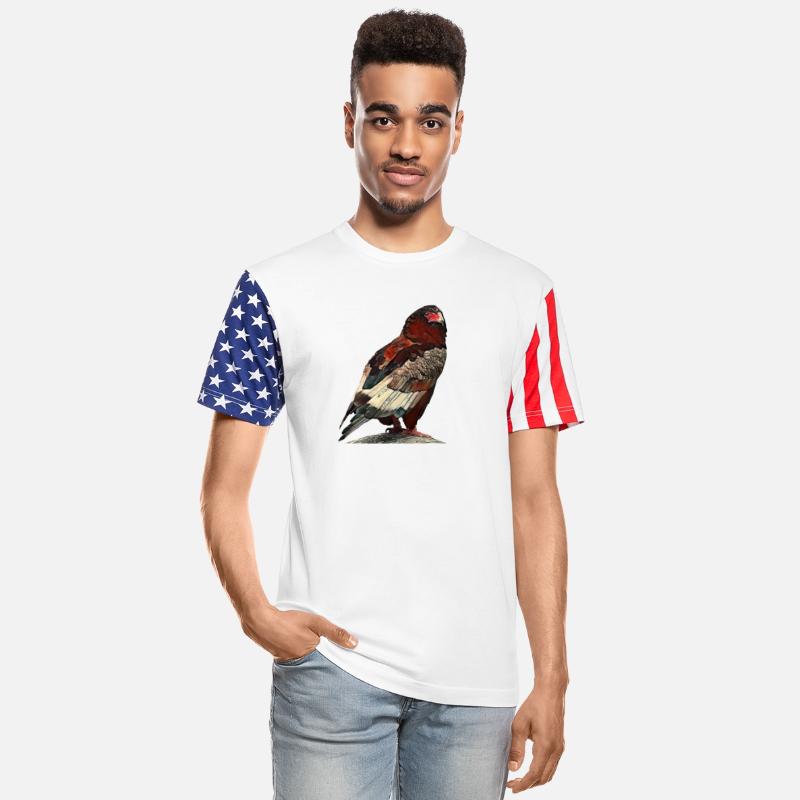 Bateleur Eagle in Pastel