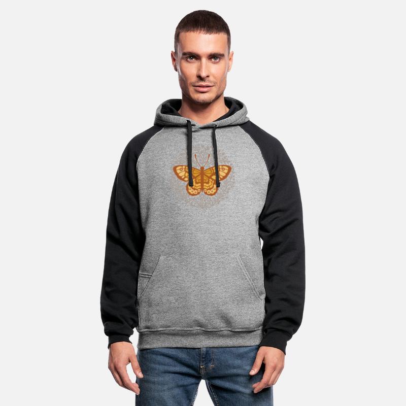 Butterfly insect with flowers.