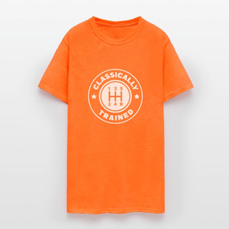 Classically trained manual gearbox print