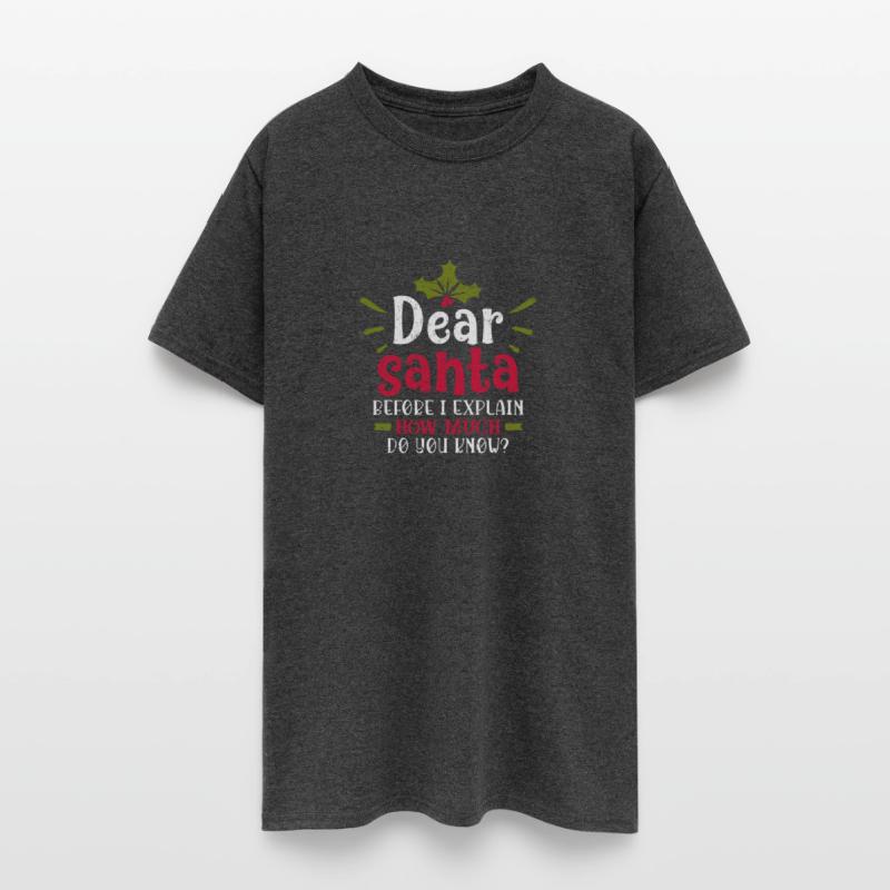 Dear Santa Before I Explain How Much You Know