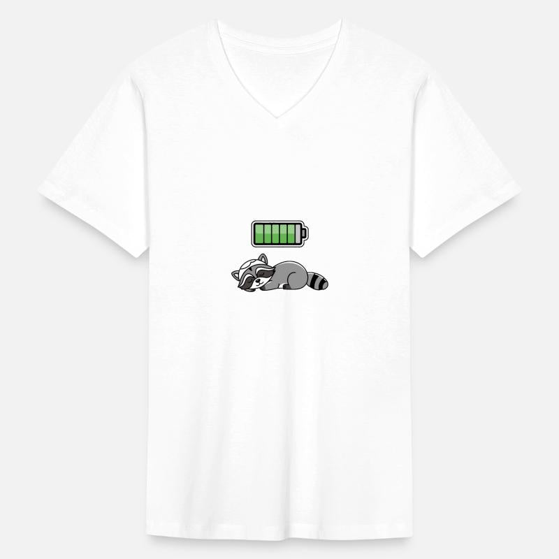 Racoon Sleeping Recharging Night Bedtime