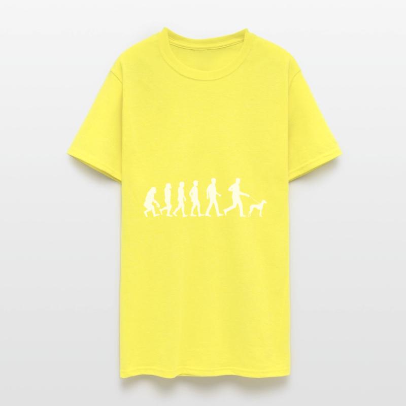 Sloughi Dog Evolution Dog Owners