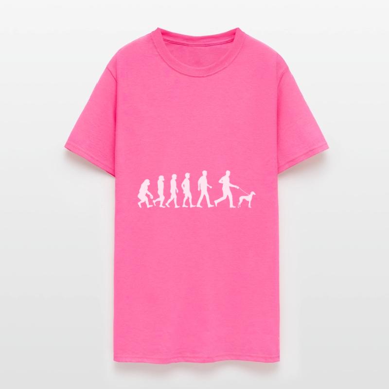 Sloughi Dog Evolution Dog Owners