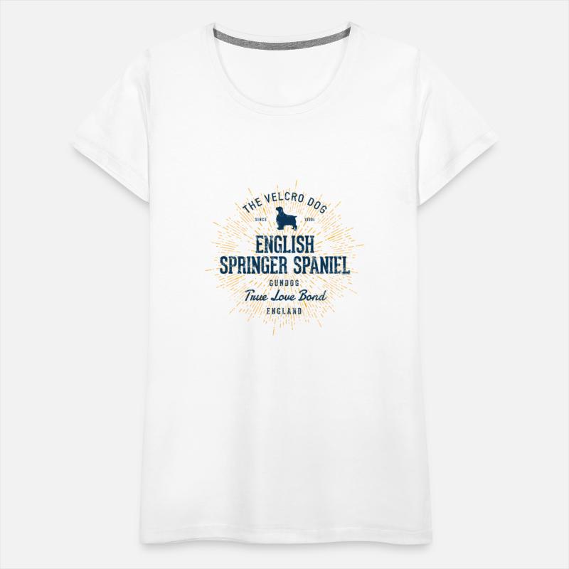 Springer Spaniel English Springer Spaniel