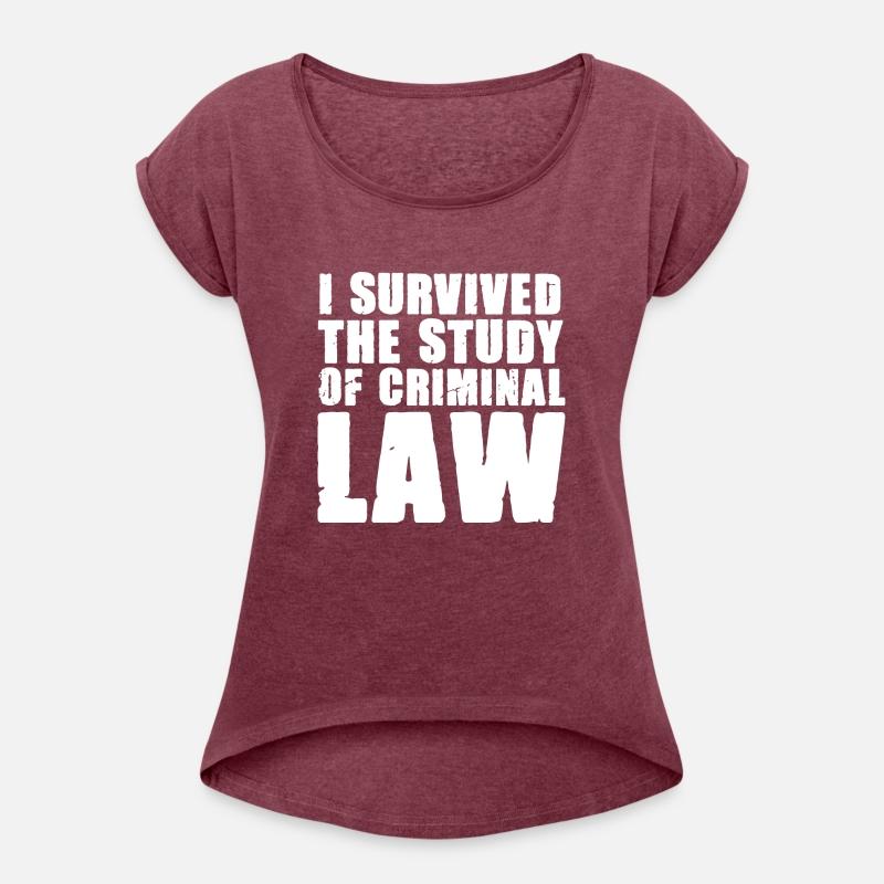 Studying Criminal Law For Future Cop Police